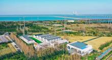 长兴岛郊野公园2