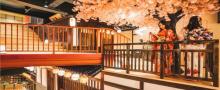 涟泉大江户（五角场店）10