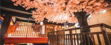涟泉大江户（五角场店）18