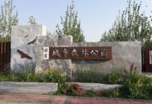 旧宫城市森林公园6