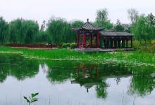 旧宫城市森林公园7