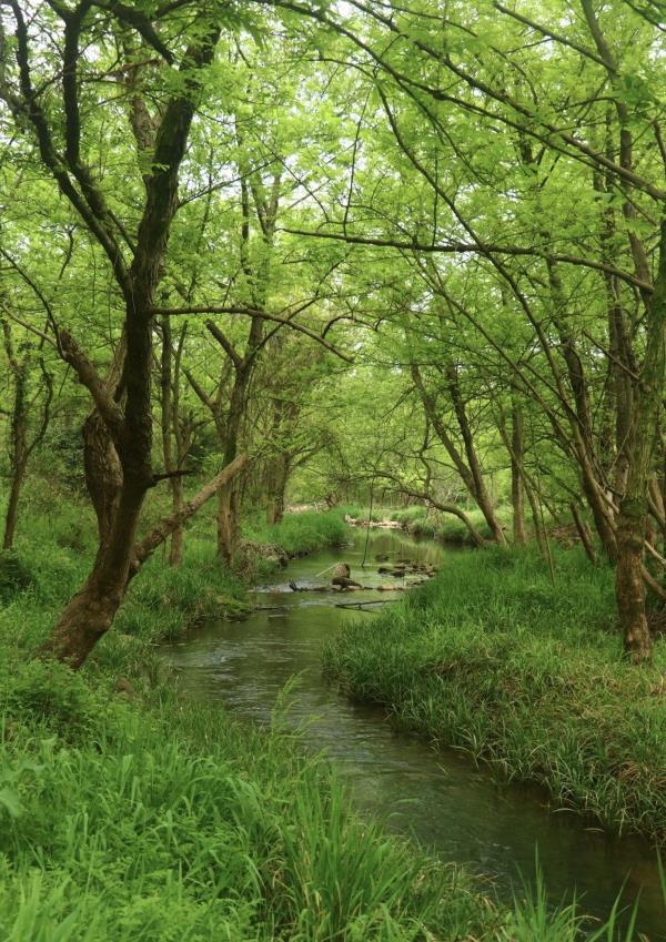 川步村