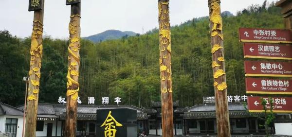 中张村