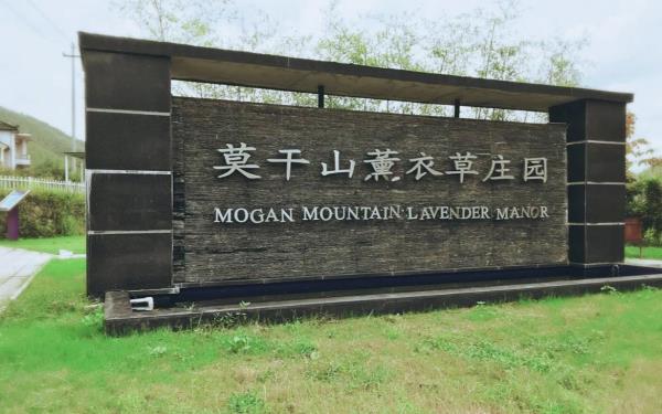 莫干山薰衣草庄园