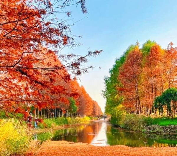 九亩村