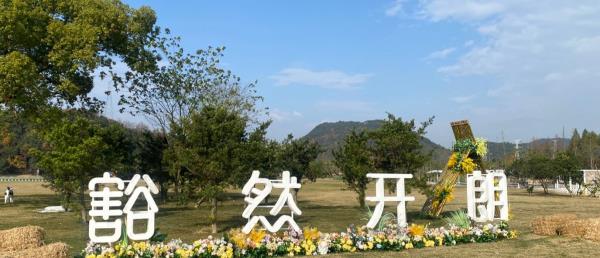 湖州市安吉县灵峰街道豁然开朗营地