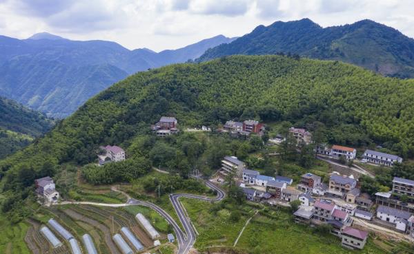 董岭村
