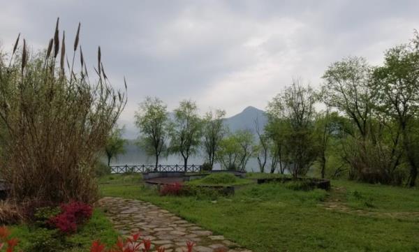 无蚊村
