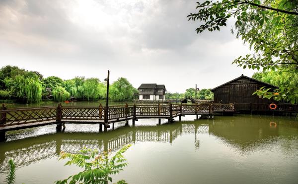 红杉景区