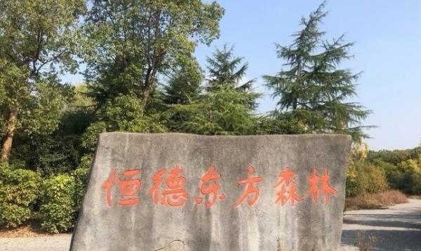 恒德东方森林