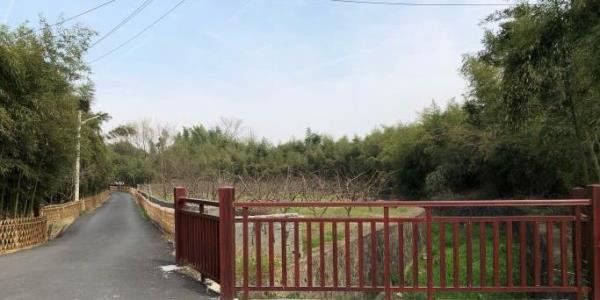 塘山遗址