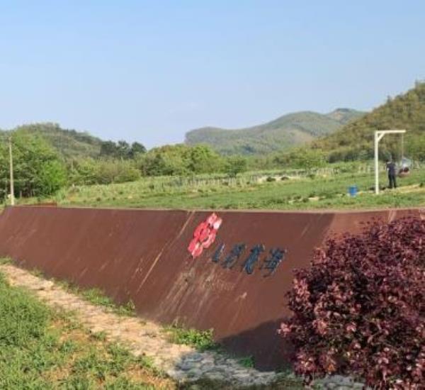 上杨花海