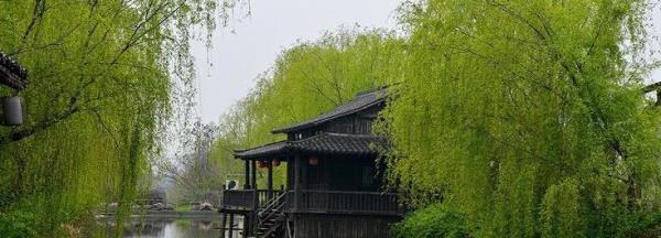 桐乡红村景区