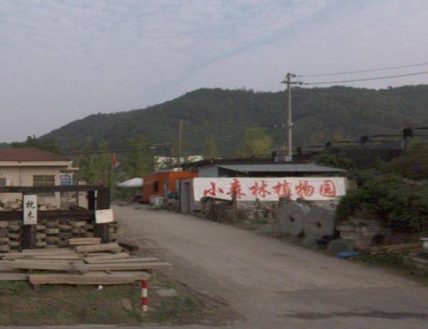 小森林植物园