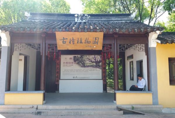 古樟植物园