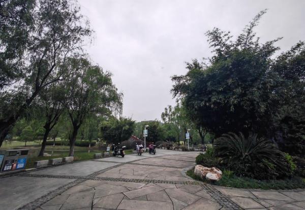 龙山公园