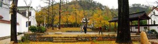 清泉自然科学探索园