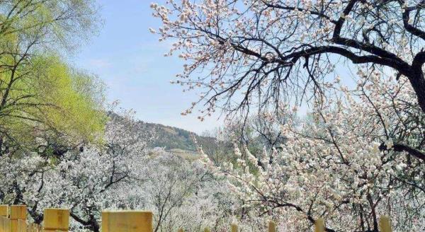 太湖桃花岛