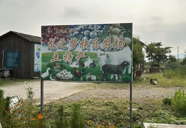 龙之梦快乐农场