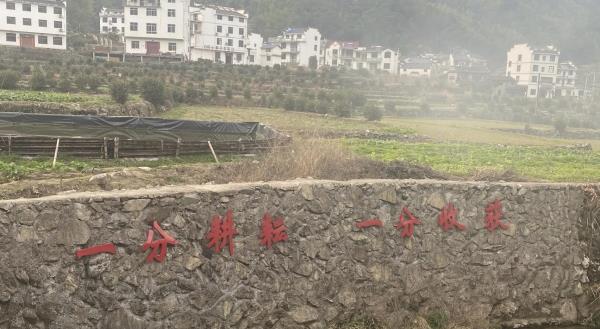 白际原生态风景区