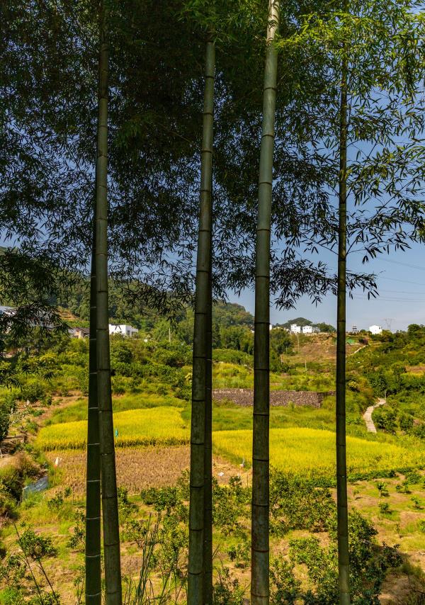 福建上金贝景区