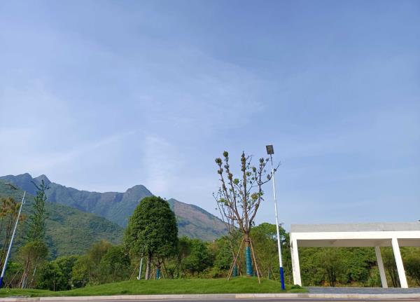 三清山秀峰
