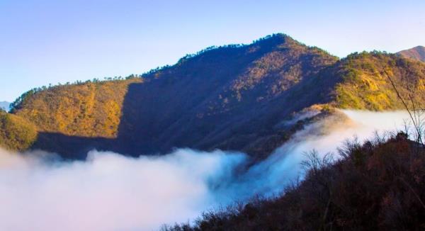 梅树底风景区