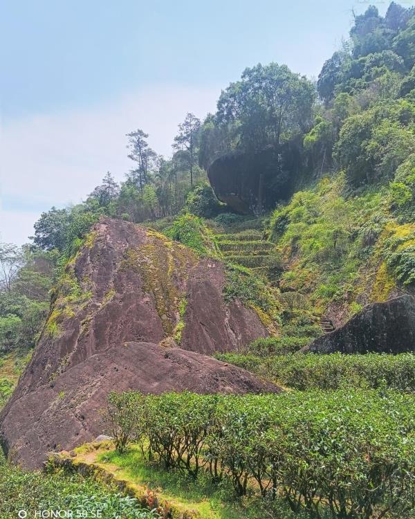 武夷山牛栏坑