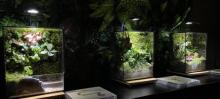 探秘山海经大型沉浸艺术展5