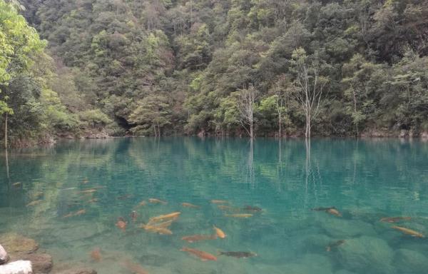 武夷山泰平洋水上广场