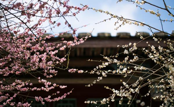 林阳寺