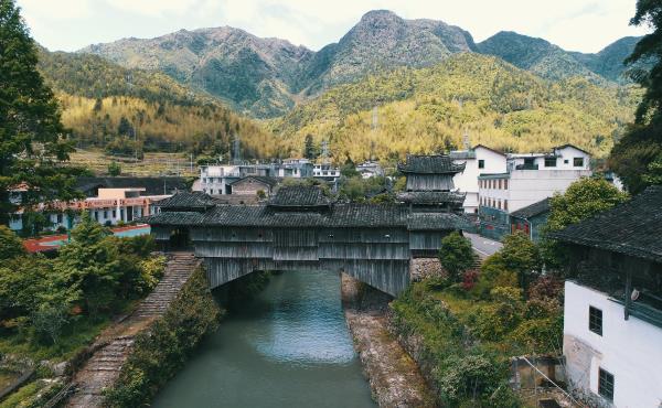 庆元古桥