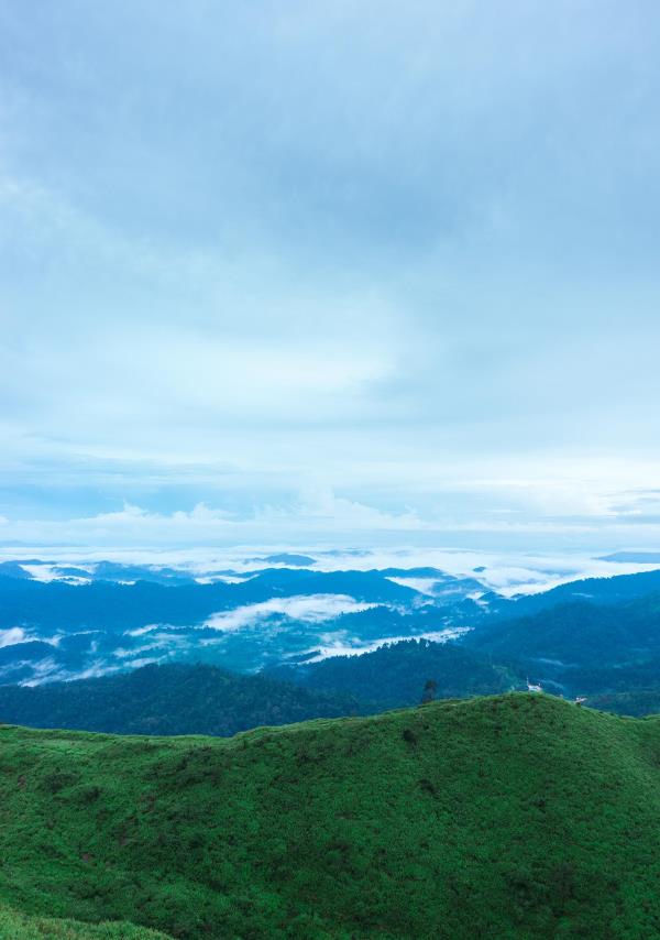大姆山草场