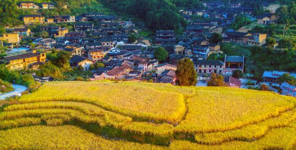 桂峰古村落景区