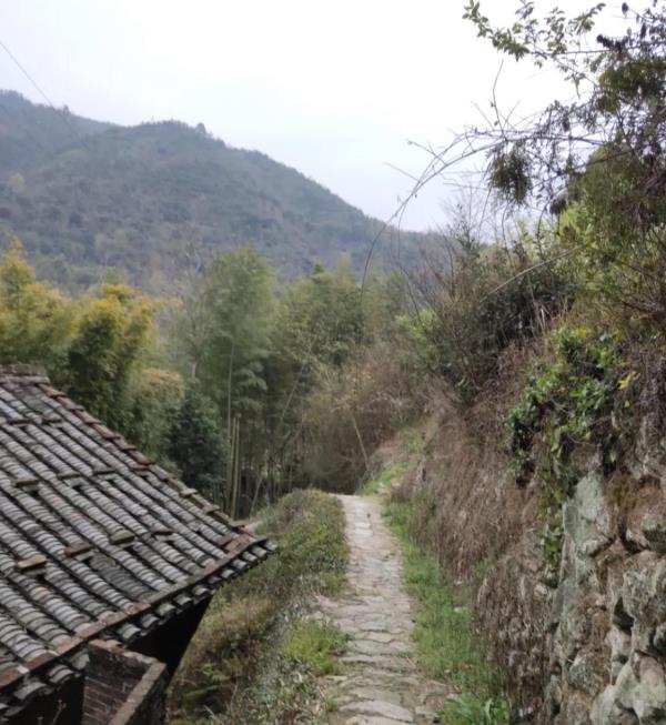 龙山公园