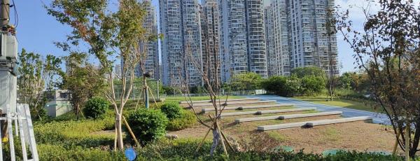 三板桥滨水公园