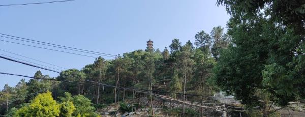 罗浮双塔