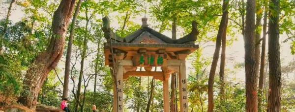 太鹤山公园