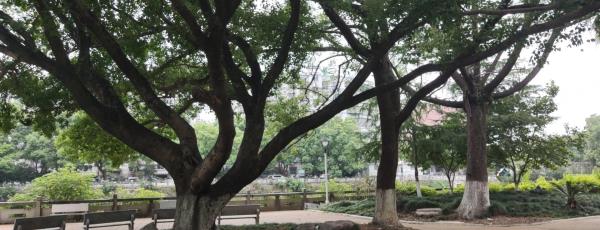 水心湾滨水公园