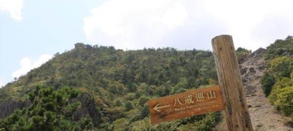 八戒巡山