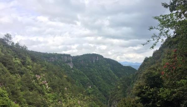 朱阳九峰
