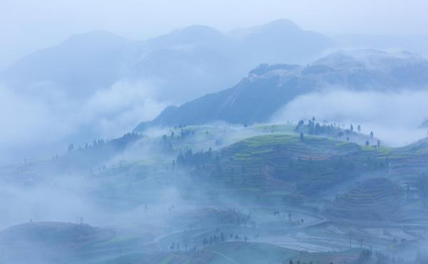 茗岙乡