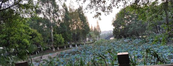 河泥荡文化公园