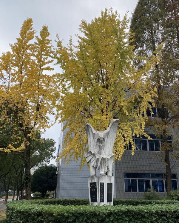 温州医科大学图书馆(学院路店)