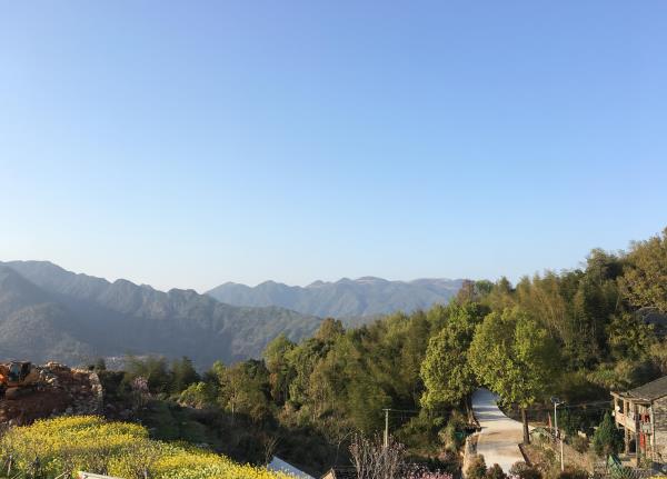 凤阳畲族乡杜鹃花海