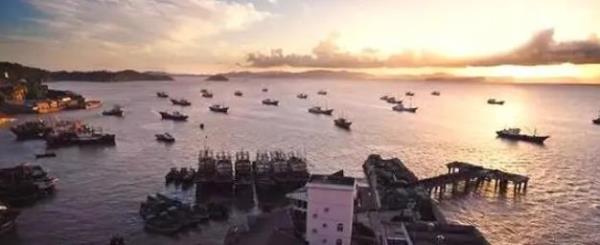 浙江乐清湾湿地