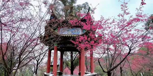 狮山公园