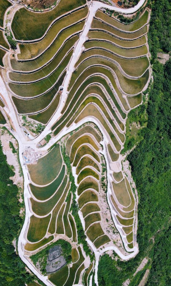 上古田园