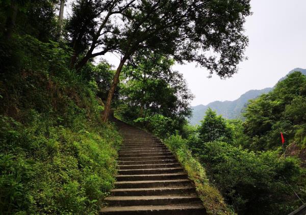 鲸头名胜风景区