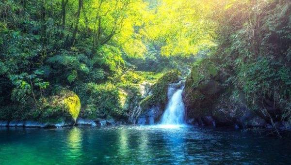 瓦屋山森林公园